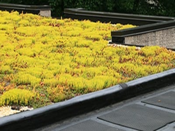 Rubber roof system for green roofs